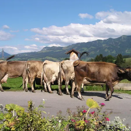 Bergbauernwirt Im Bolgental Konukevi