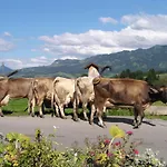 Bergbauernwirt Im Bolgental 게스트하우스